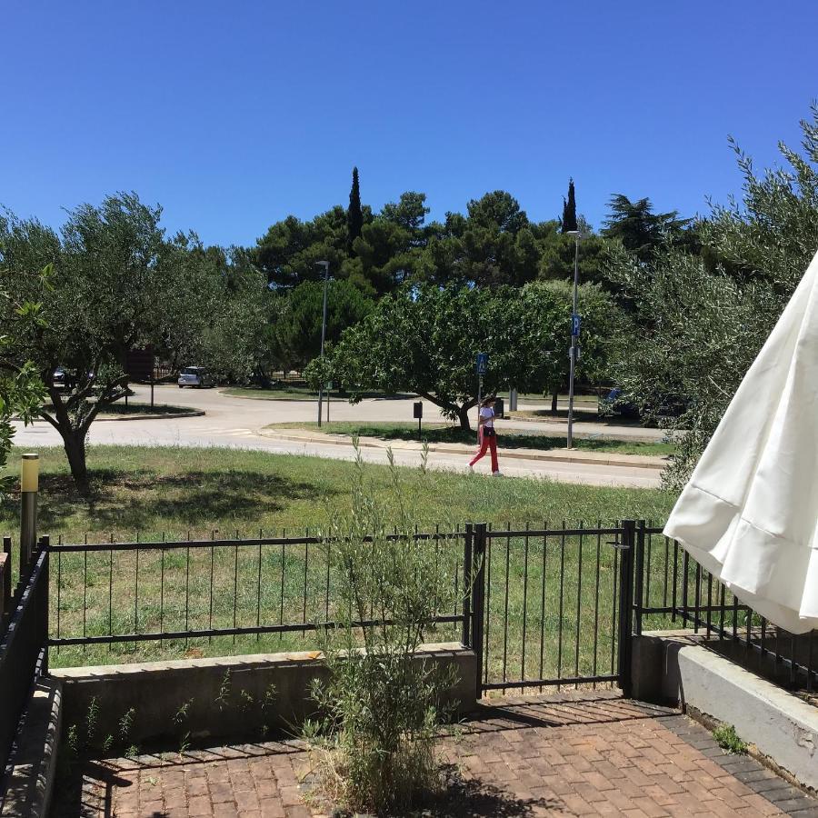 Apartments Nautica Novigrad  Екстер'єр фото